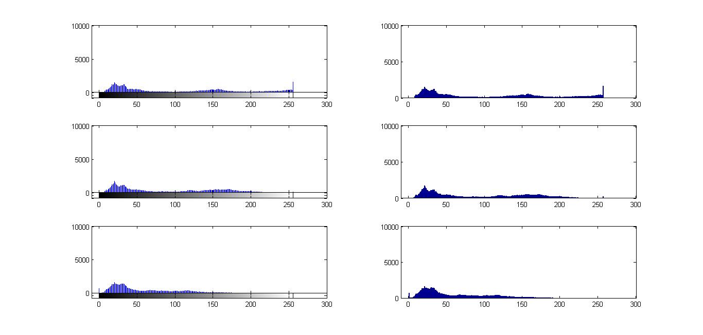 Project Report